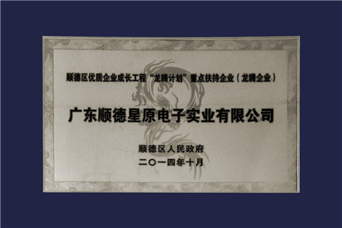 Longteng enterprise